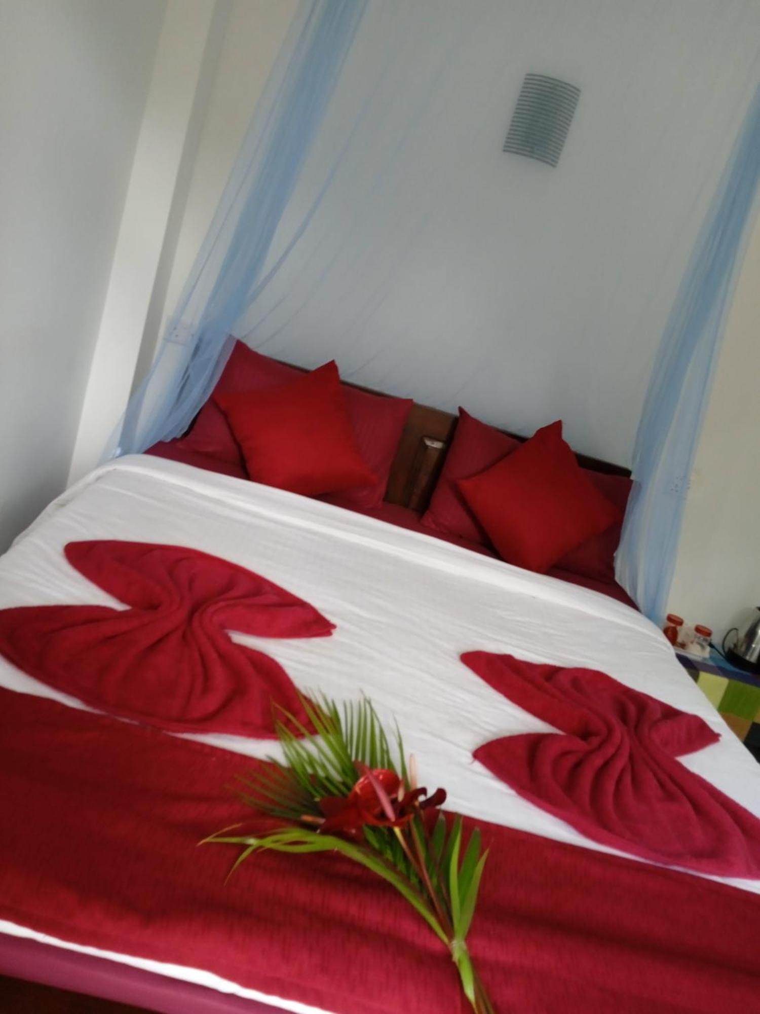 Nine Arch Corner Apartment เอลลา ภายนอก รูปภาพ